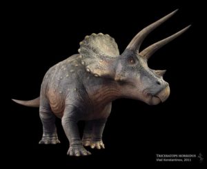 Triceratops Informacion